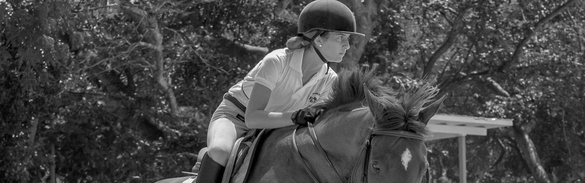 Equestrian Bahamas