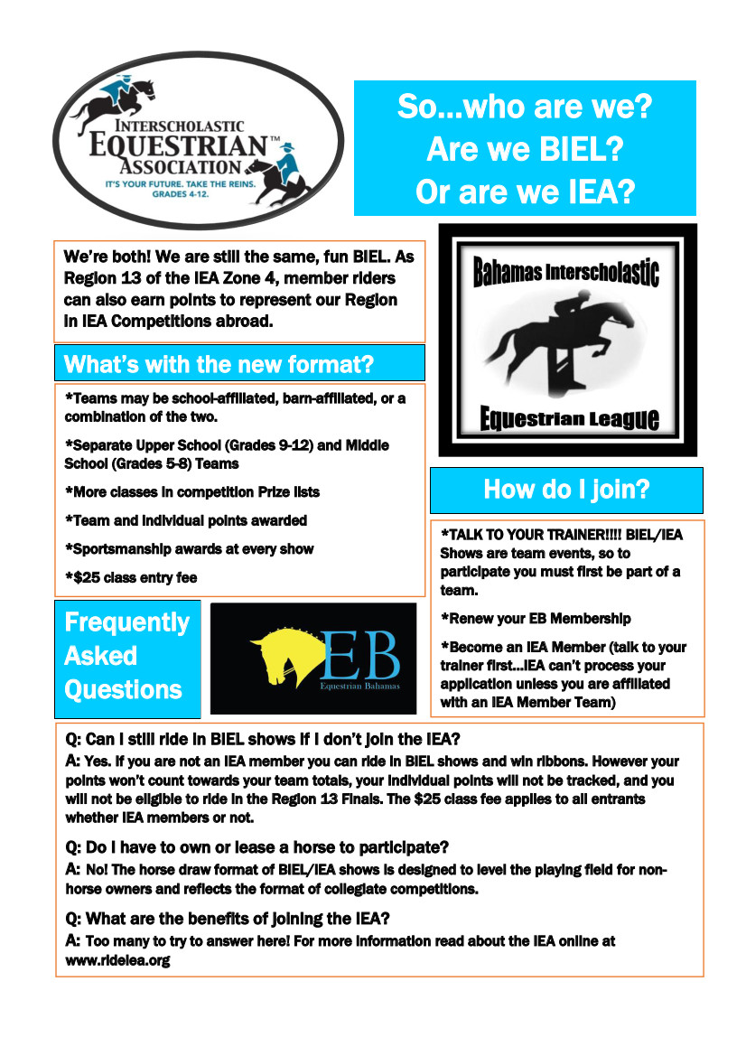 BIEL and IEA in Partnership - Promotional Flyer