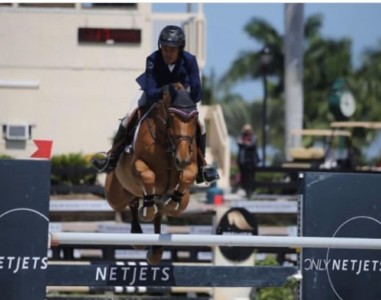 Marcus Davis and El Porvenir Corro were Overall Champions in the 1.30m Division at The Headwaters Cup in Angelstone.