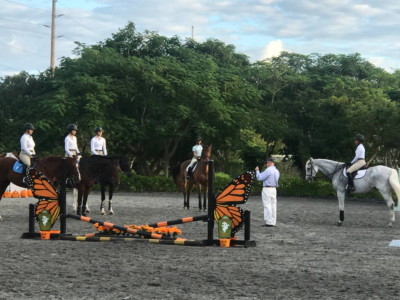 Senior riders Judging Clinic Senior riders Judging Clinic