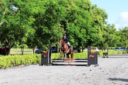 Marlo Pinder of the CEC Blue Marlins rode Laureanna CF in the Intermediate Equitation Over Fences class.